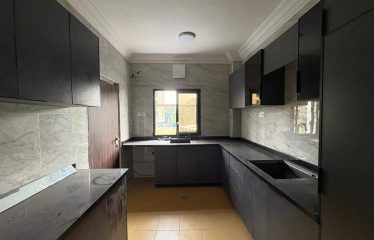 Newly Renovated 3-Bedroom Apartments with BQ