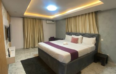 1 unit furnished one-bedroom apartment