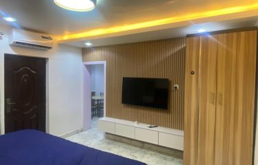 1 unit furnished one-bedroom apartment