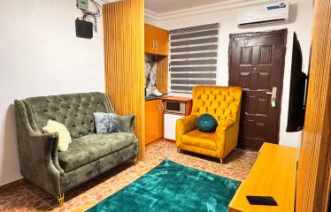 Newly built 4-bedroom semi-detached house with a room BQ, spread across 2 floors.