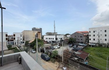 2 units of fully furnished 2 bedroom apartment