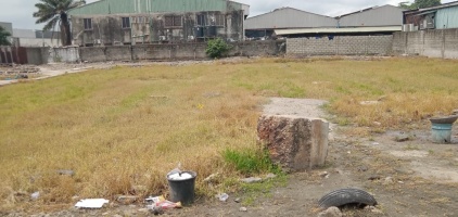 Moshood Abiola Way, Iganmu, Lagos State, ,Land,For Sale,1398